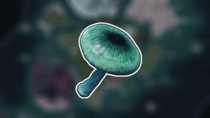 Cogumelo Misterioso Palworld