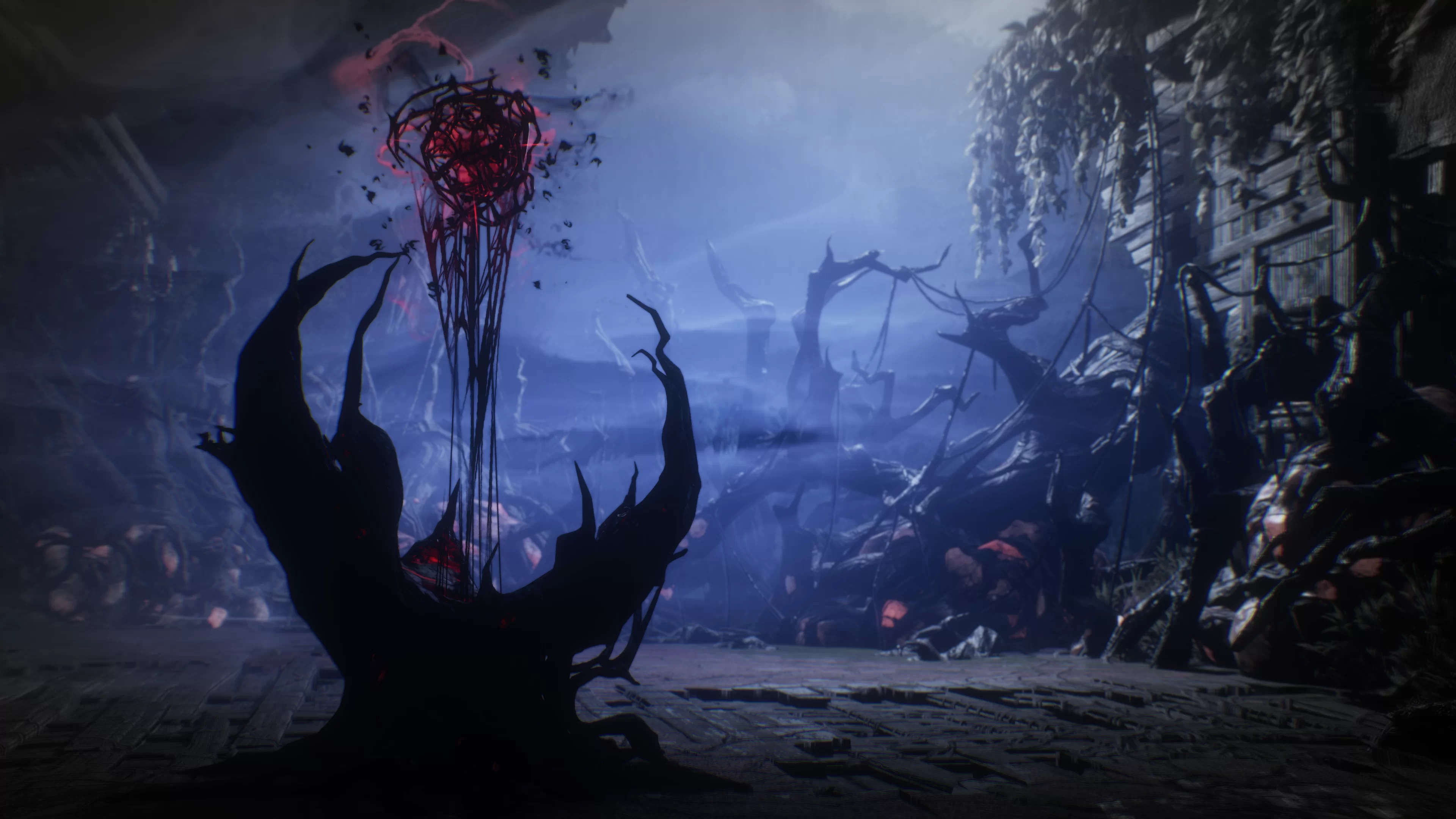 SouthOfMidnight 2025-04-25 08-48-31_354.webp