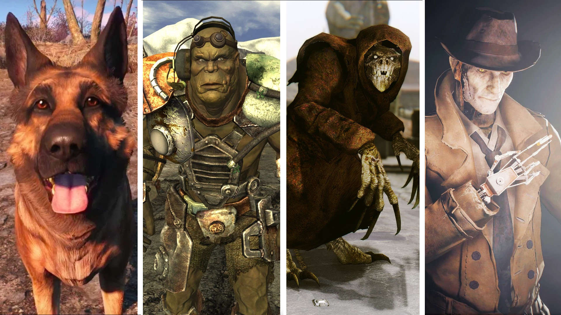 10 Best Fallout Companions In Franchise History Insider Gaming   Best Fallout Companions 