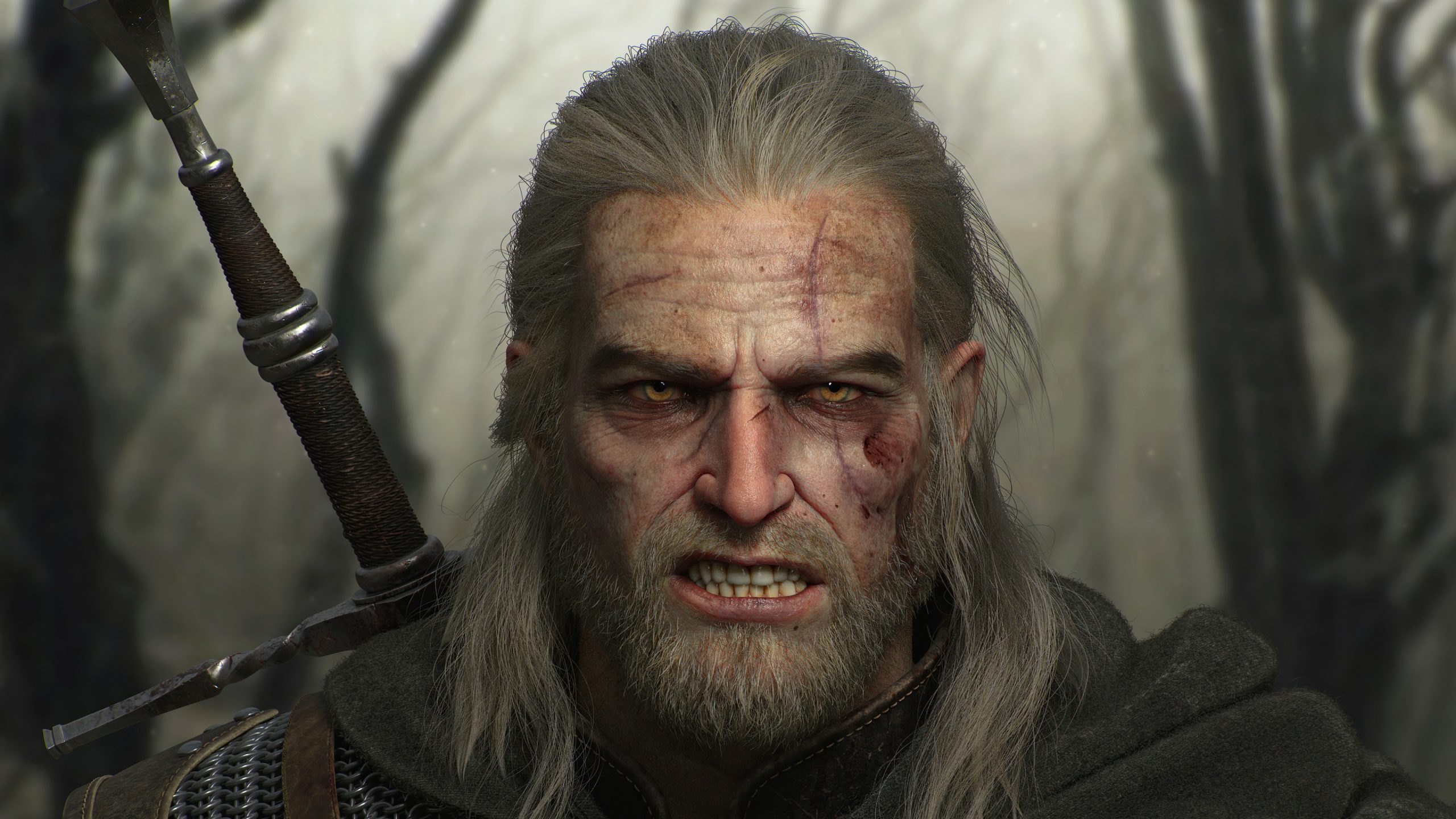 The Witcher 4 Will Continue Geralt's Saga   Insider Gaming