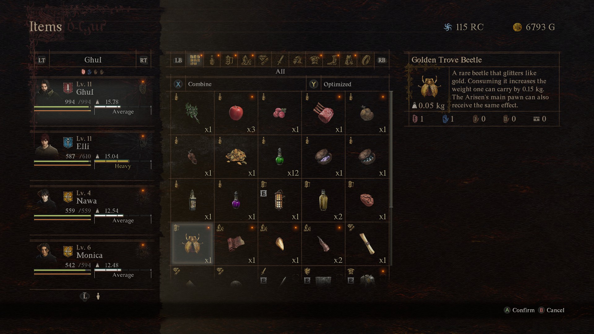 Dragon's Dogma 2 Golden Trove Beetle Item