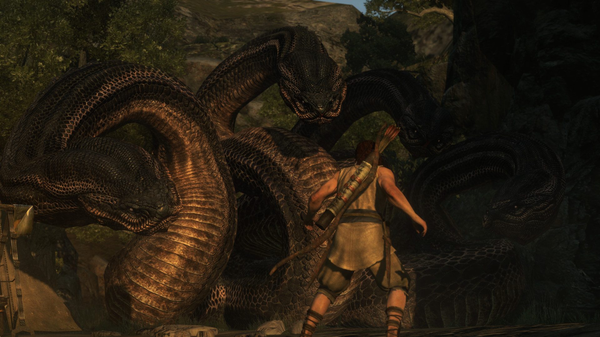 Dragon's Dogma Hydra