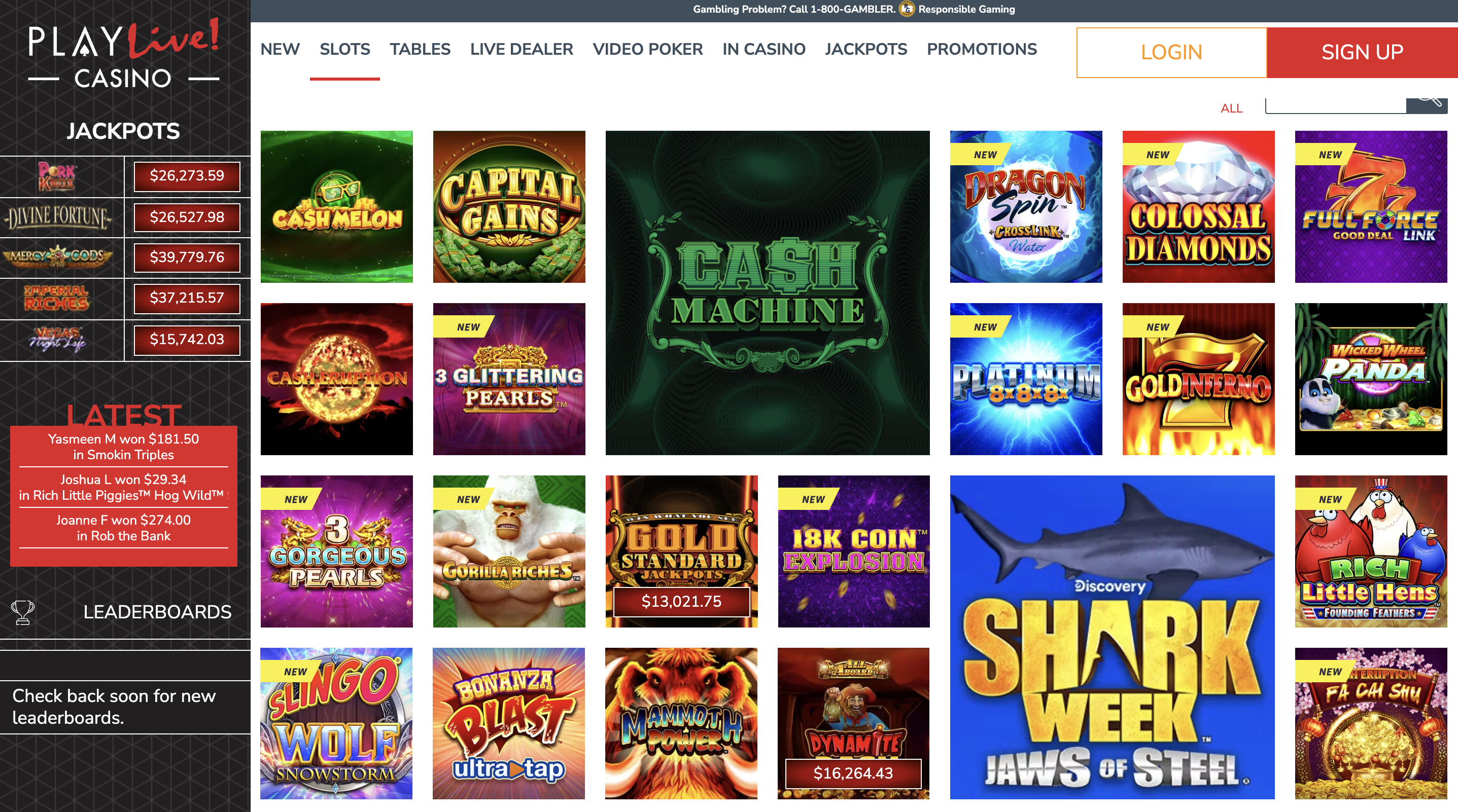 screenshot of playlive casino slots 