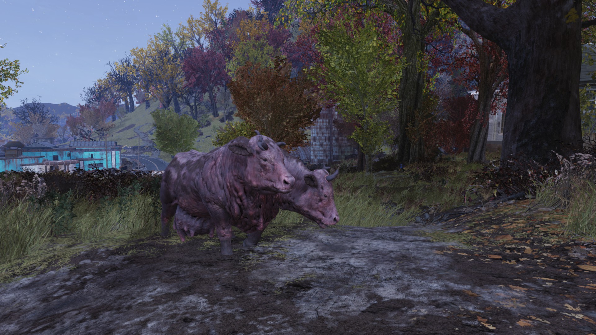 Where to Find Brahmin in Fallout 76