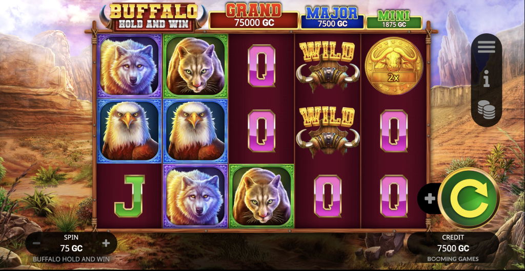 Buffalo Hold and Win Slot Mega Bonanza Casino