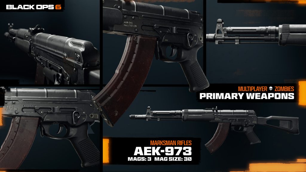 aek-973 in bo6