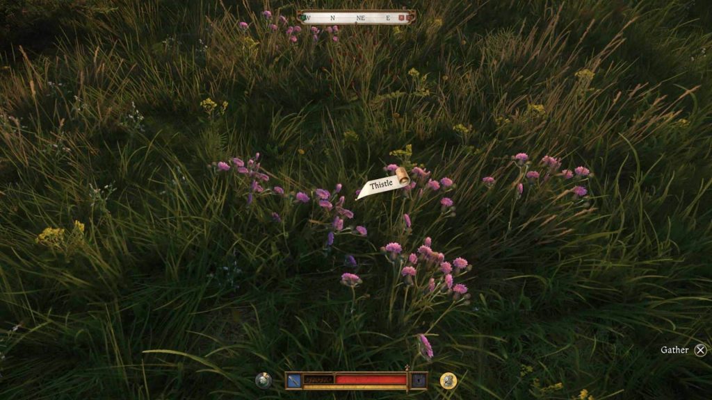 finding thistle in kingdom come deliverance 2