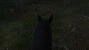 riding a horse in kingdom come deliverance 2