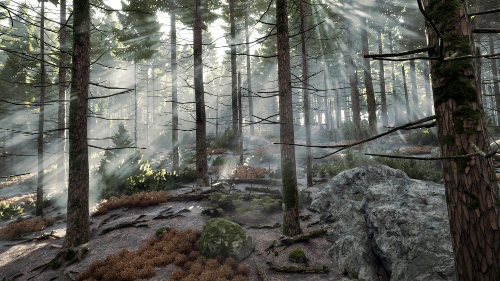 forest map in prologue go wayback