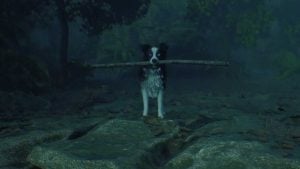 hounded dog holding stick in mouth