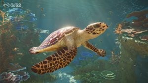 A turtle in Planet Zoo 2