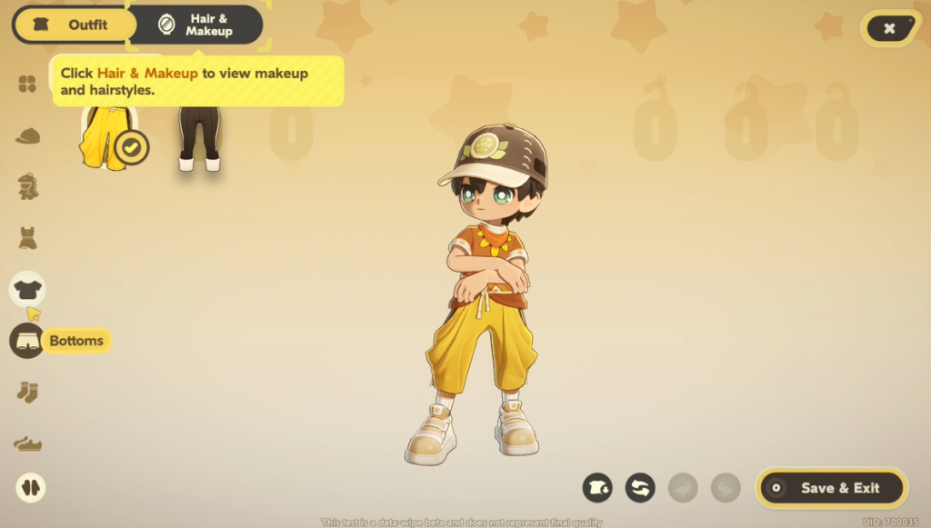 Customization options in Petit Planet