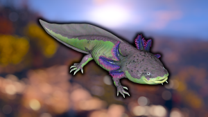 axolotl