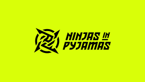 ninjas in pyjamas