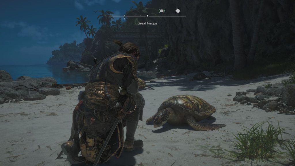 AC Black Flag Resynced Turtle