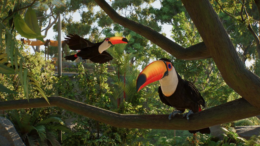 Toco Toucans in Planet Zoo 2