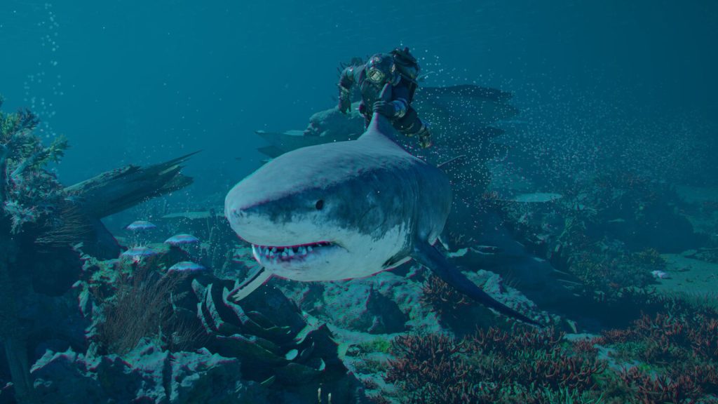 riding shark in crimson desert