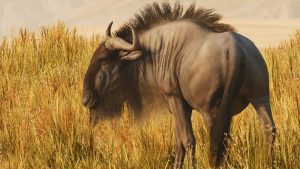 Blue Wildebeest in Planet Zoo 2