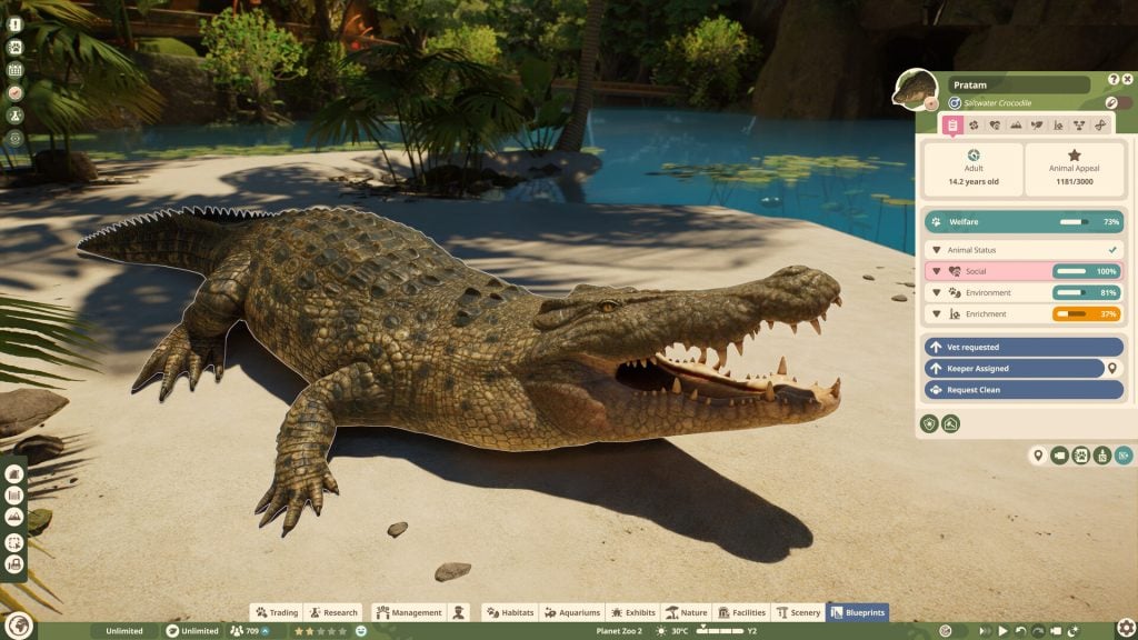 A saltwater crocodile in Planet Zoo 2