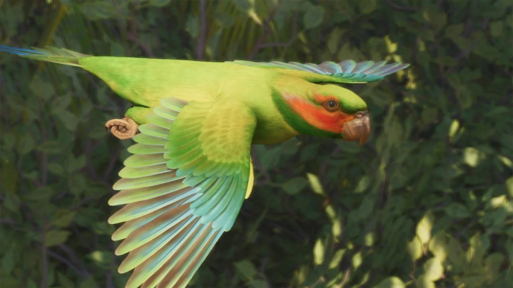 A Long-Tailed Parakeet in Planet Zoo 2