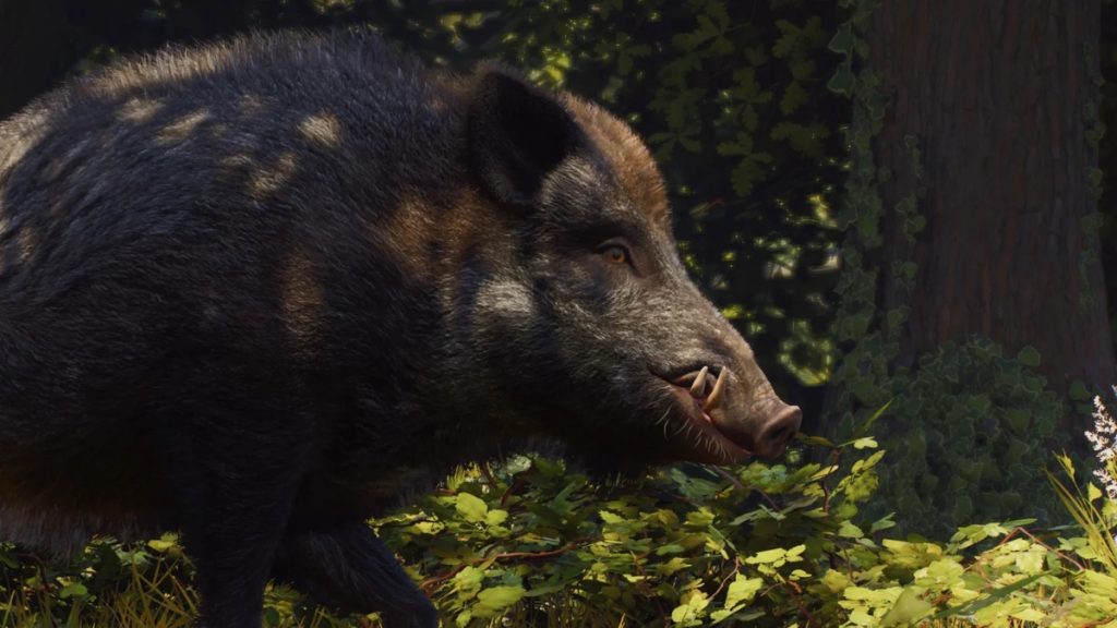A Wild Boar in Planet Zoo 2